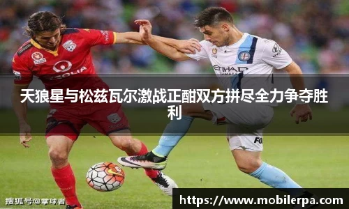 天狼星与松兹瓦尔激战正酣双方拼尽全力争夺胜利