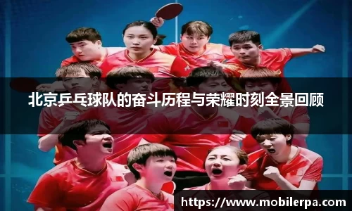 北京乒乓球队的奋斗历程与荣耀时刻全景回顾
